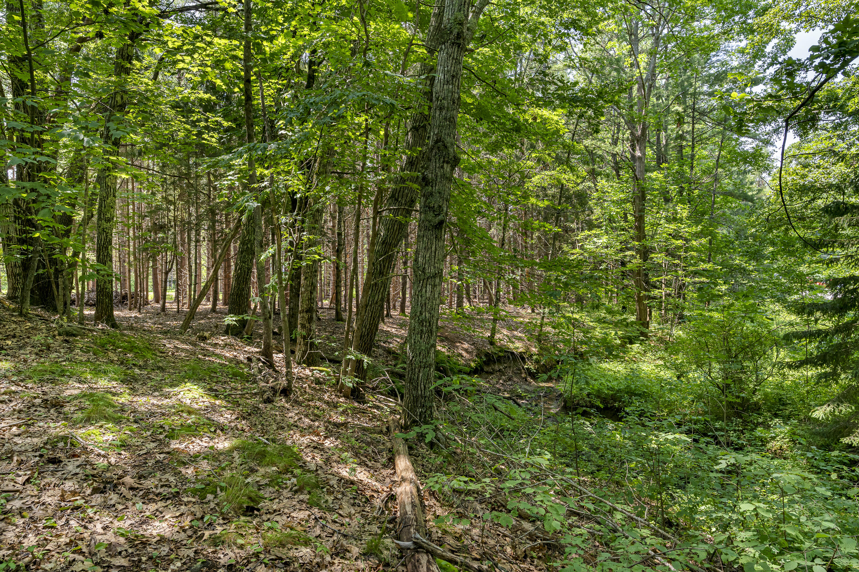 12 Sewall Lane Bath, ME 04530 - Photo 35 of 37 69-12 Sewall Ln, Bath, ME-TP