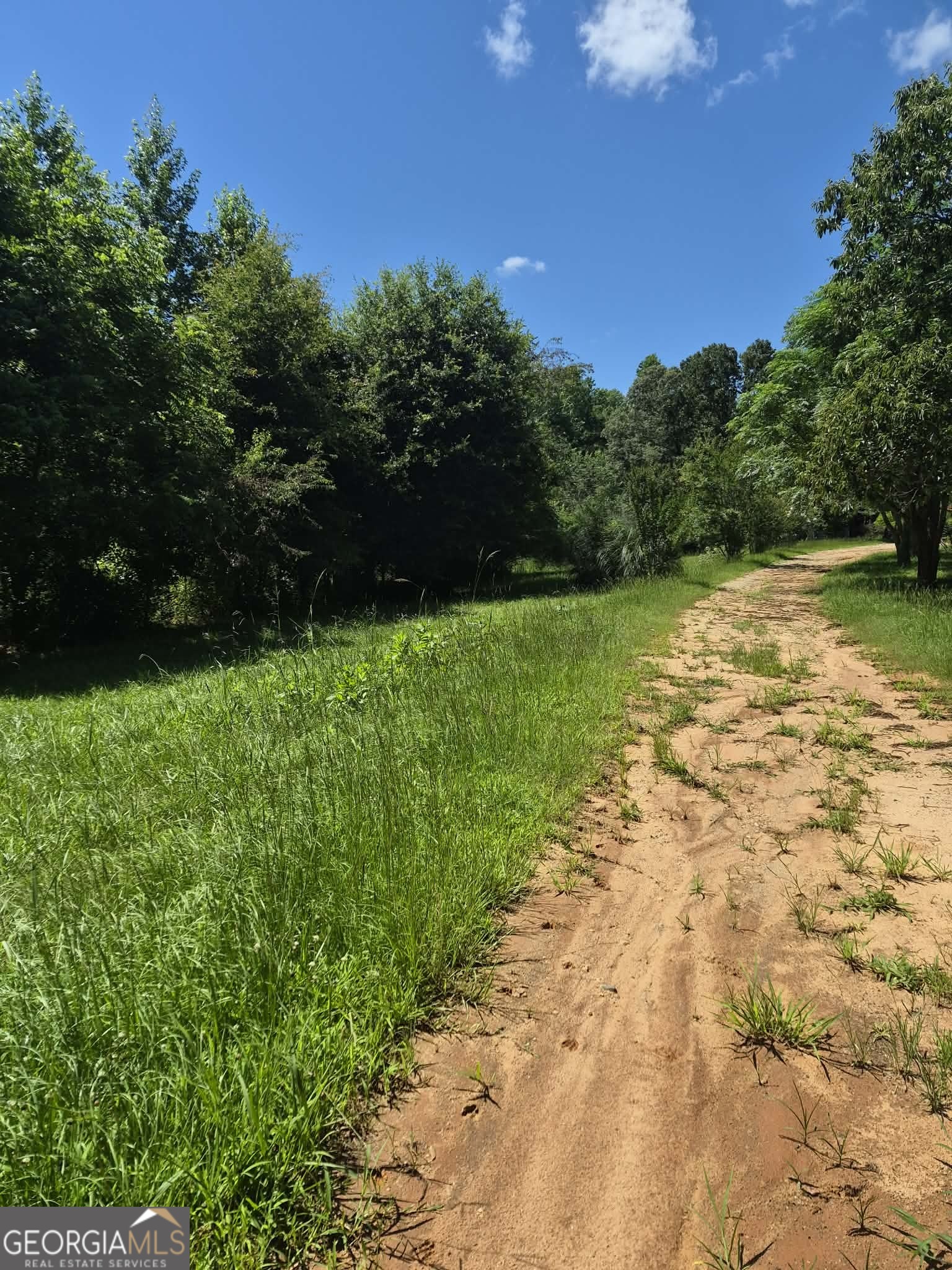0 Lebanon Church Road Jefferson, GA 30549 - Photo 8 of 29