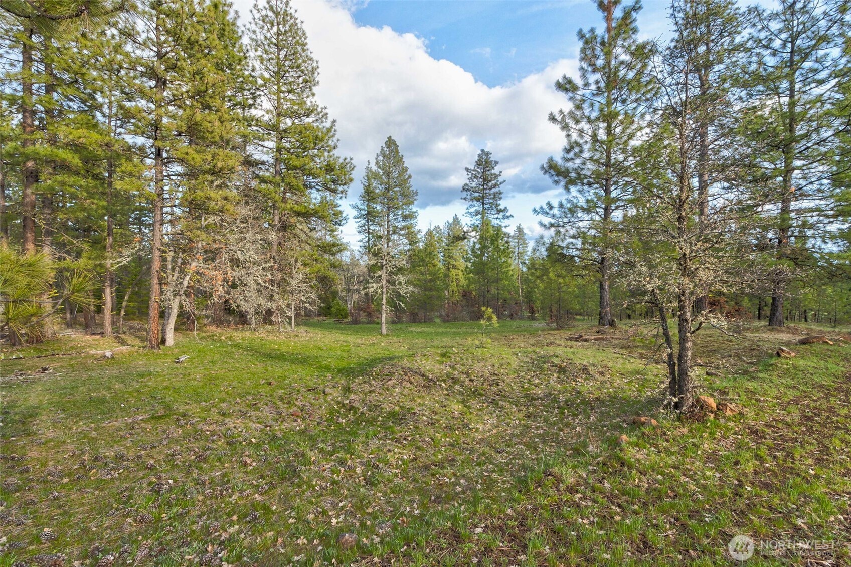 15 Greyback Mt Road Goldendale, WA 98620 - Photo 5 of 6