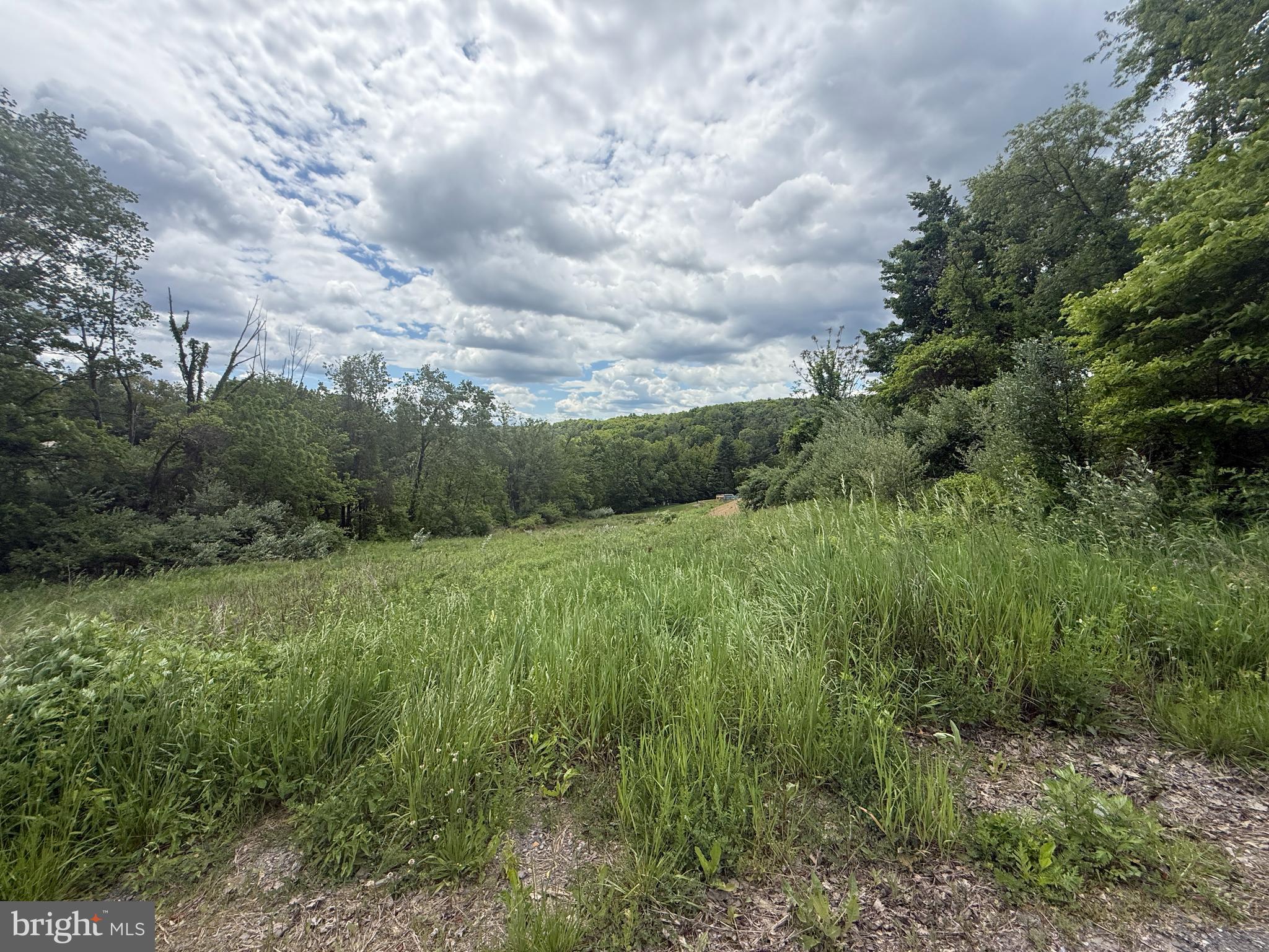 1355 Colvin Road Williamsport, PA 17701 - Photo 22 of 24