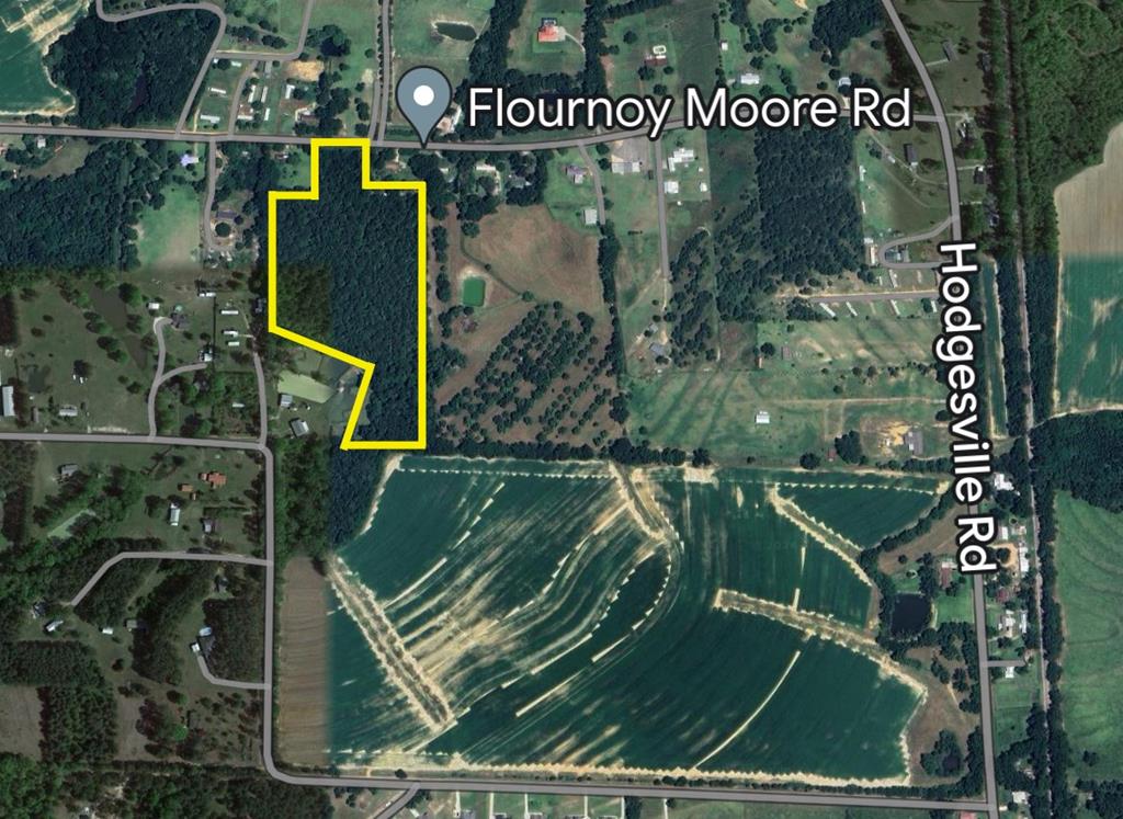 0 Flournoy Moore Road Dothan, AL 36301 - Photo 1 of 3
