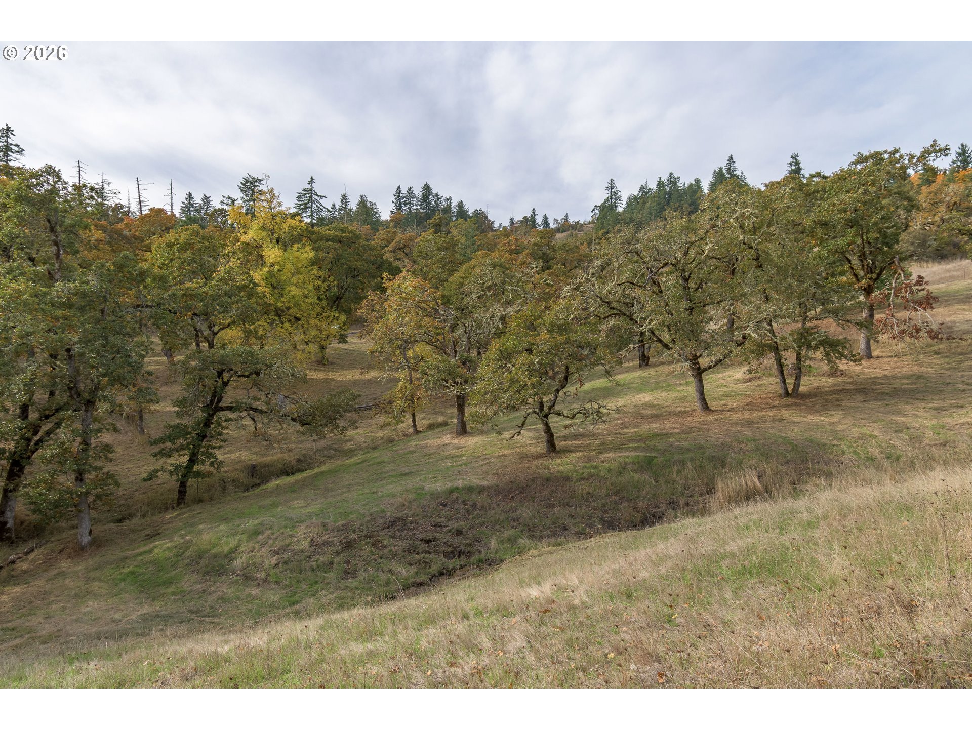 Hidden Meadows Eugene, OR 97405 - Photo 8 of 24