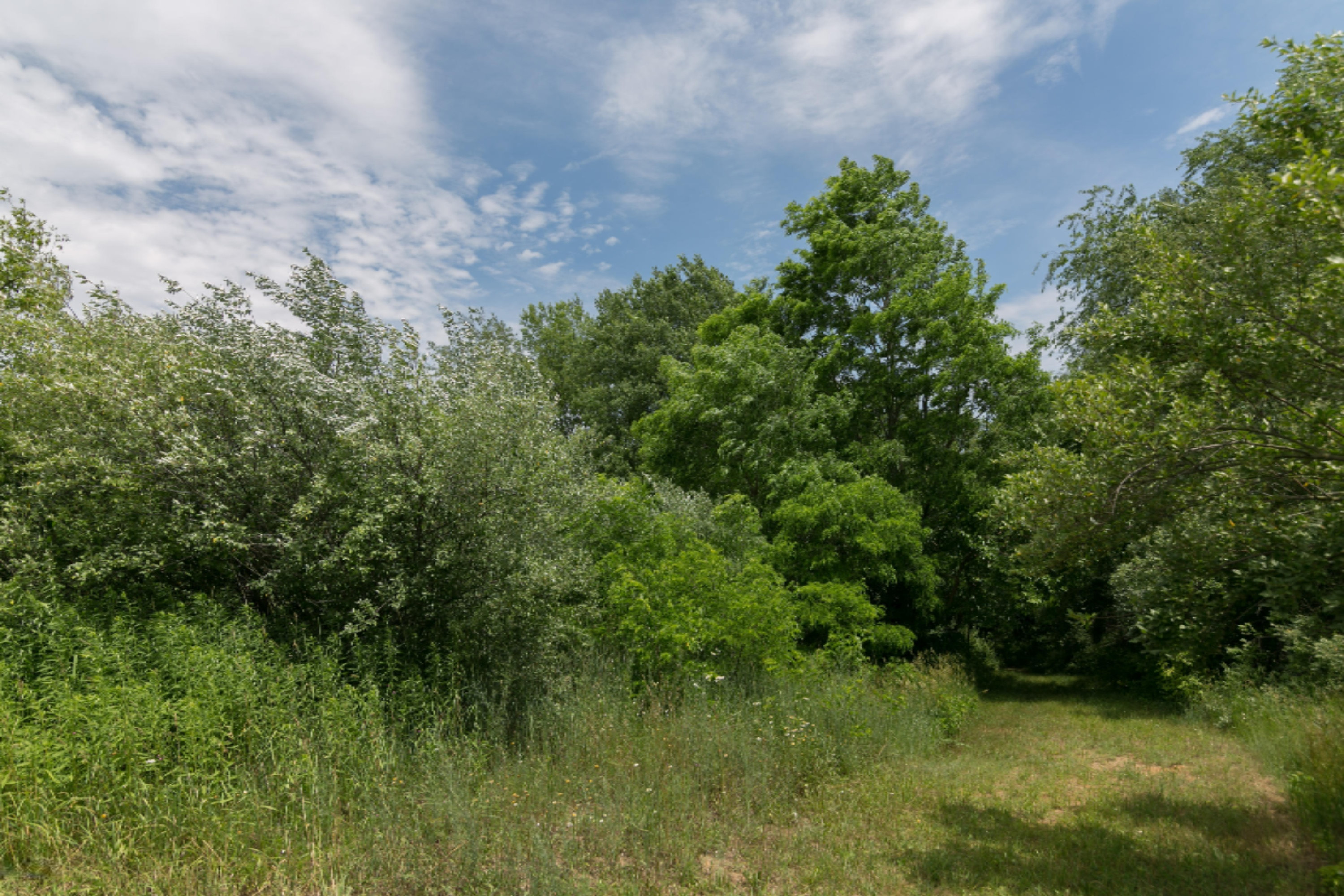 23198 West County Line Road Battle Creek, MI 49017 - Photo 29 of 38 23198-WestCountyLineRd-129