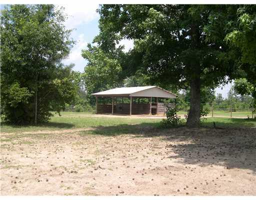 39366 Reeves Road Franklinton, LA 70438 - Photo 6 of 19 Gallery Image 6