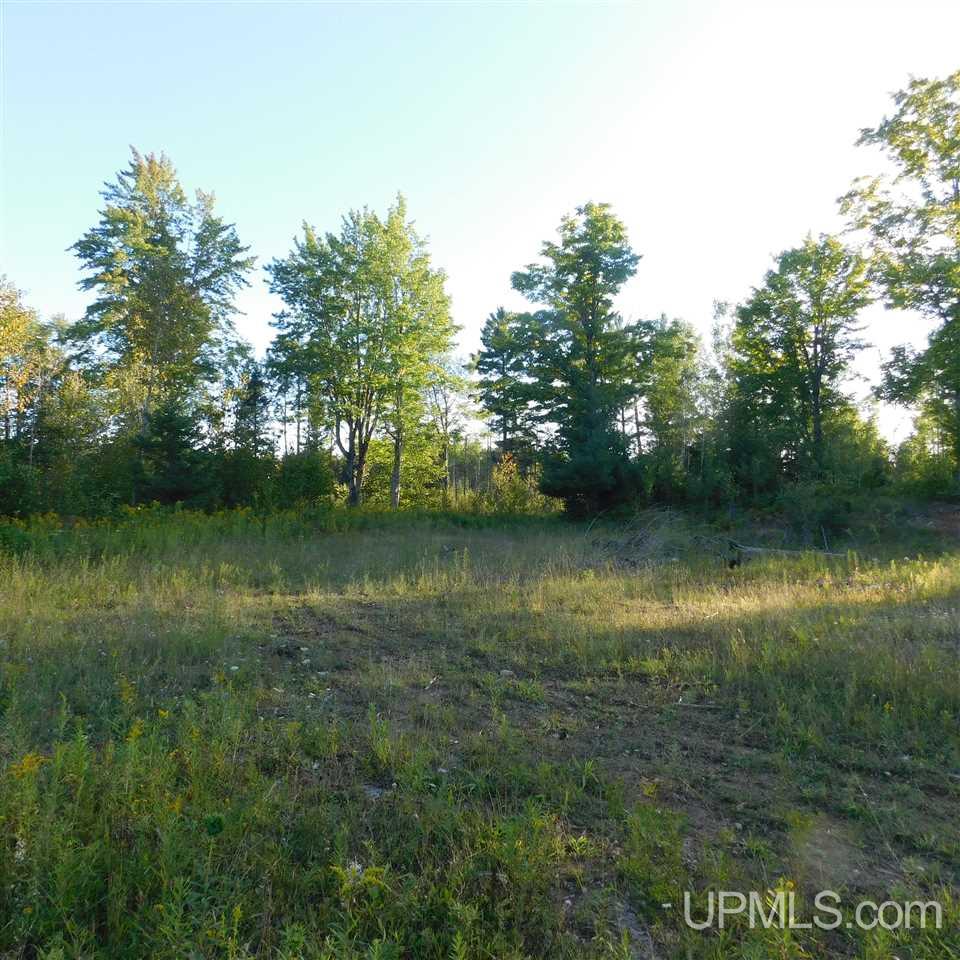 Tbd Off Murray Road Perronville, MI 49873 - Photo 25 of 27