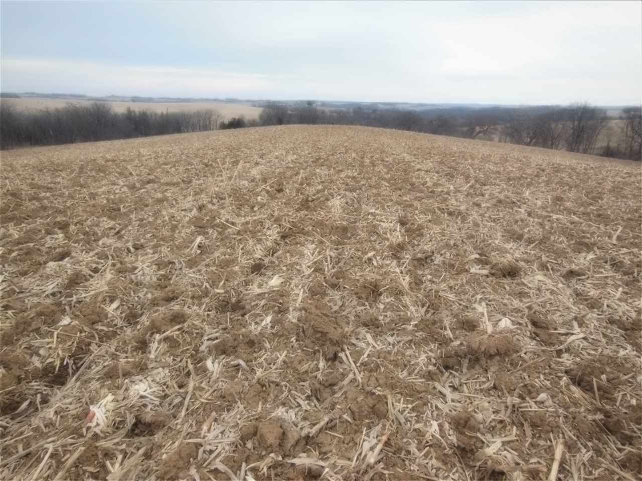 83rd Street Sabula, IA 52070 - Photo 3 of 13 Gallery Image 3