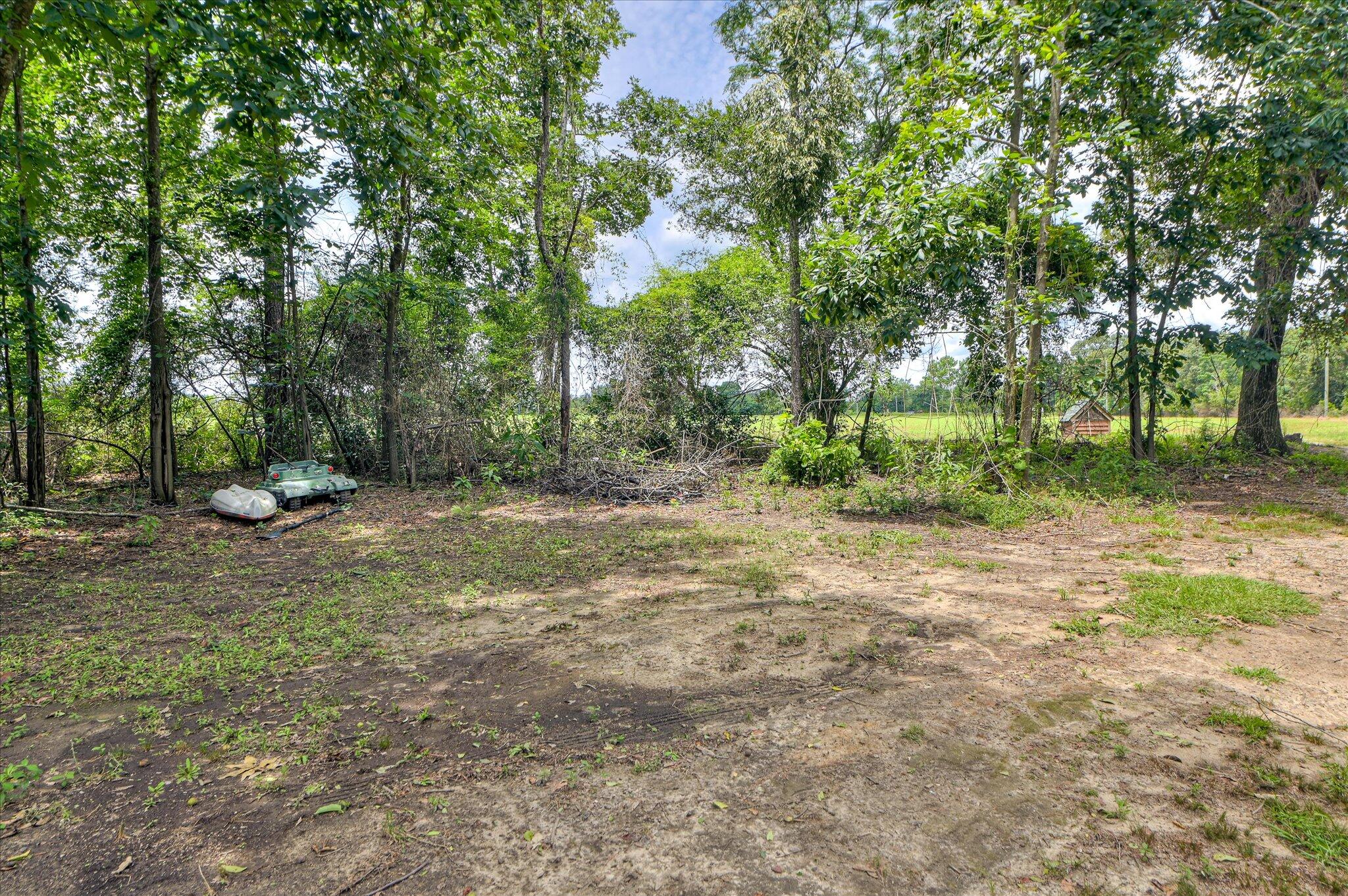 196 Brodie Hall Road Wagener, SC 29164 - Photo 34 of 42 42-130