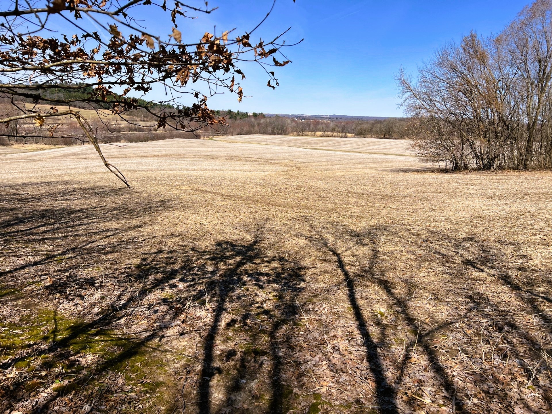 0 Pete Coulee Road Taylor, WI 54659 - Photo 27 of 49