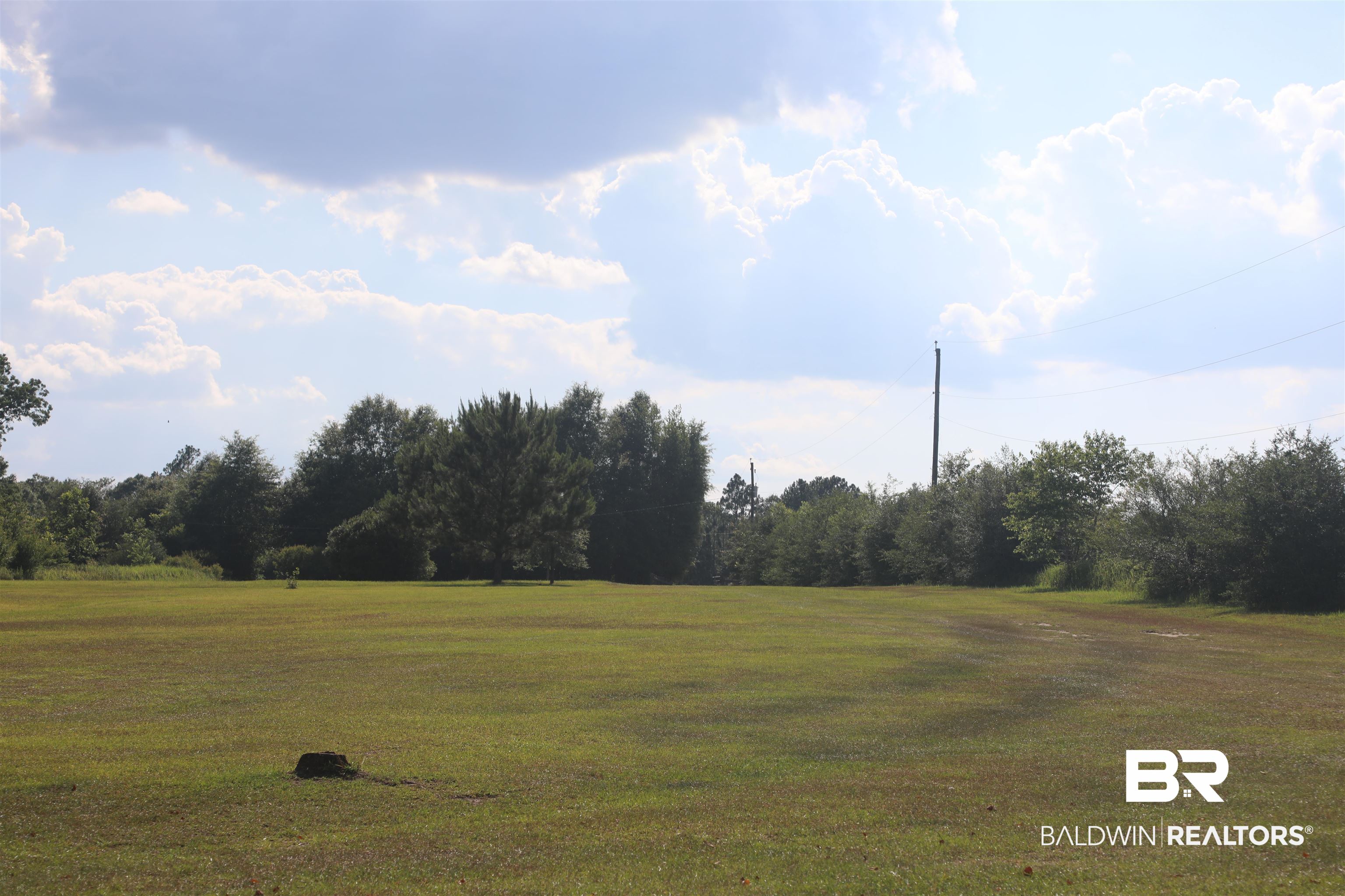5110 South Albert Evans Road Wilmer, AL 36587 - Photo 33 of 38