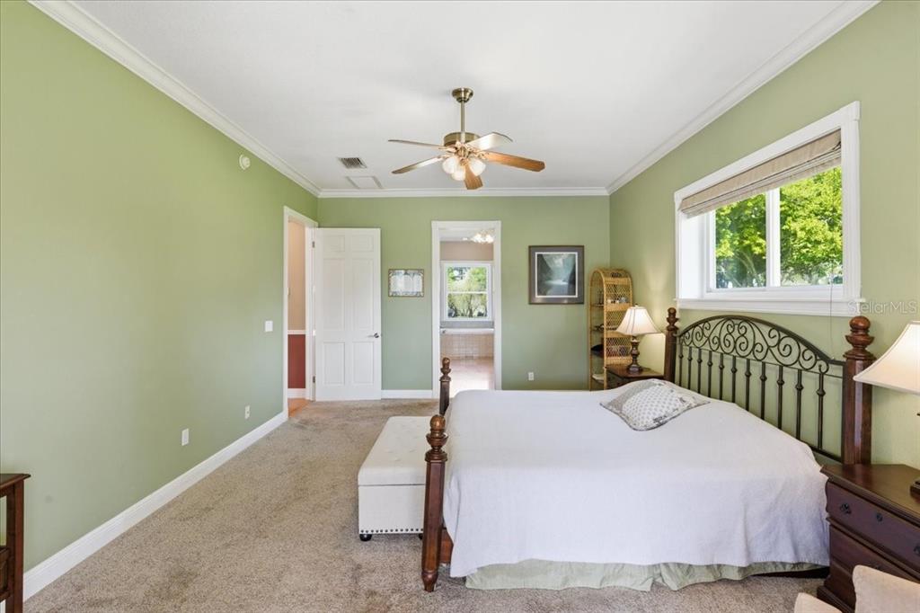 17825 Simms Road Odessa, FL 33556 - Photo 16 of 72