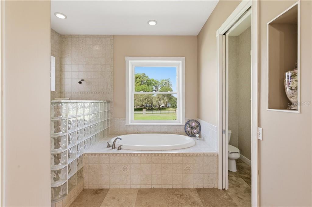 17825 Simms Road Odessa, FL 33556 - Photo 19 of 72