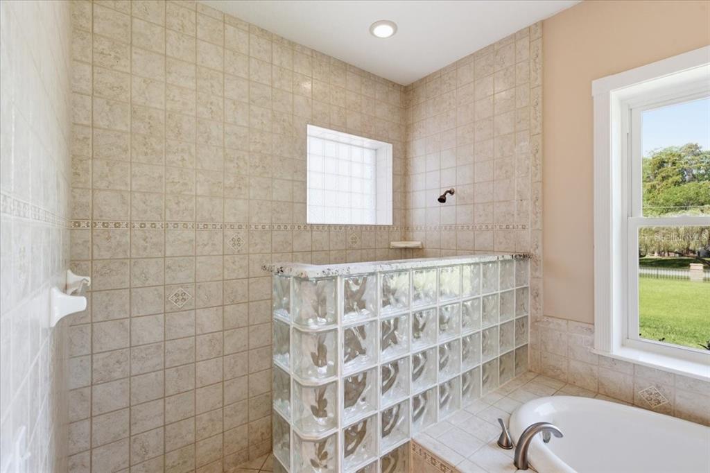 17825 Simms Road Odessa, FL 33556 - Photo 20 of 72
