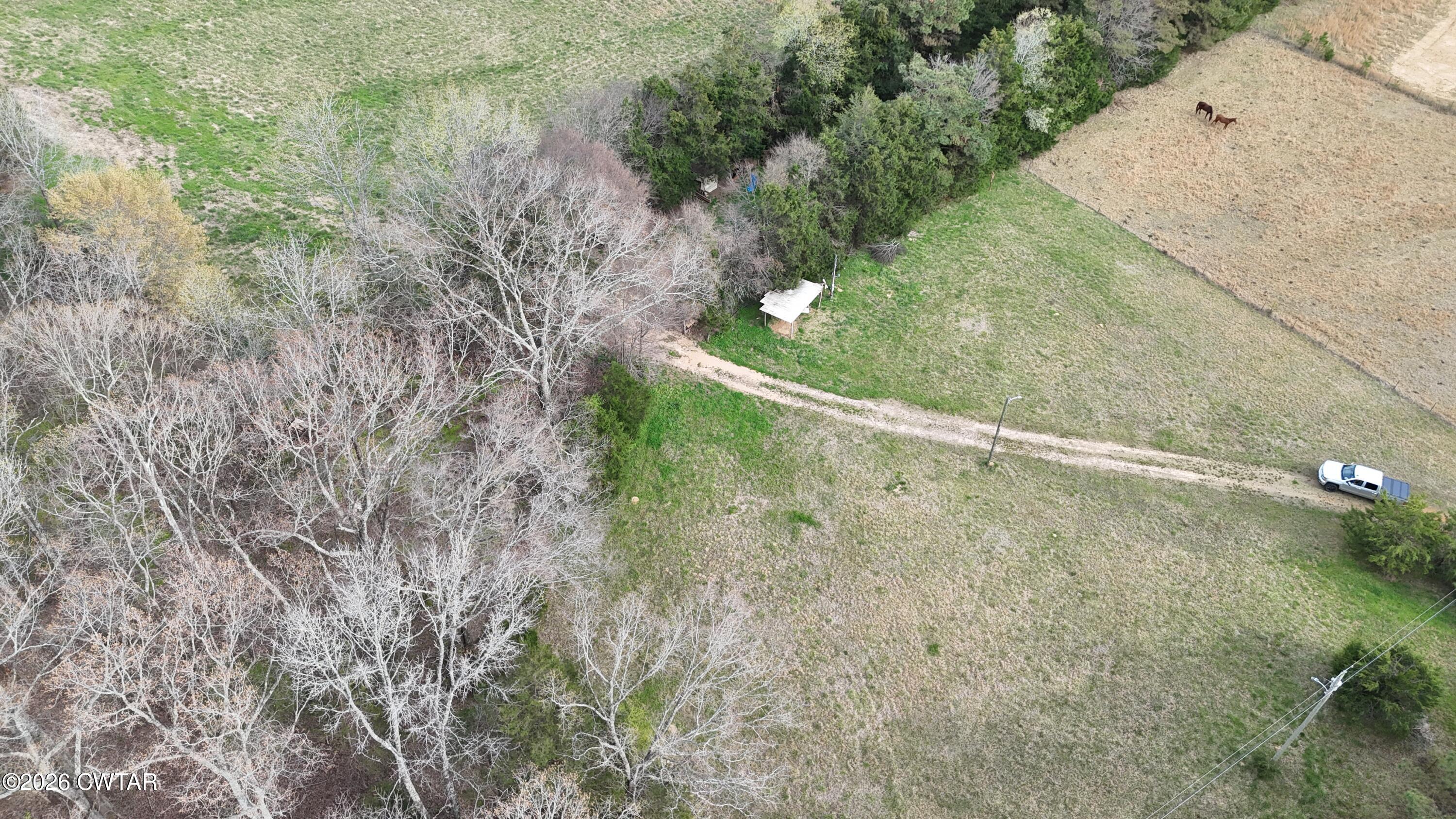 500 Hinkle Road Sardis, TN 38371 - Photo 5 of 11 a view of a yard