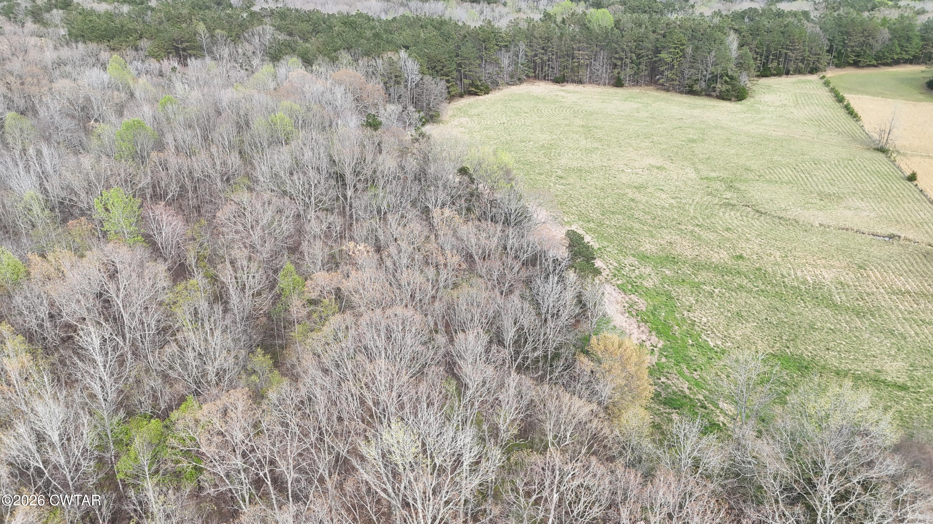 500 Hinkle Road Sardis, TN 38371 - Photo 6 of 11 a view of a yard