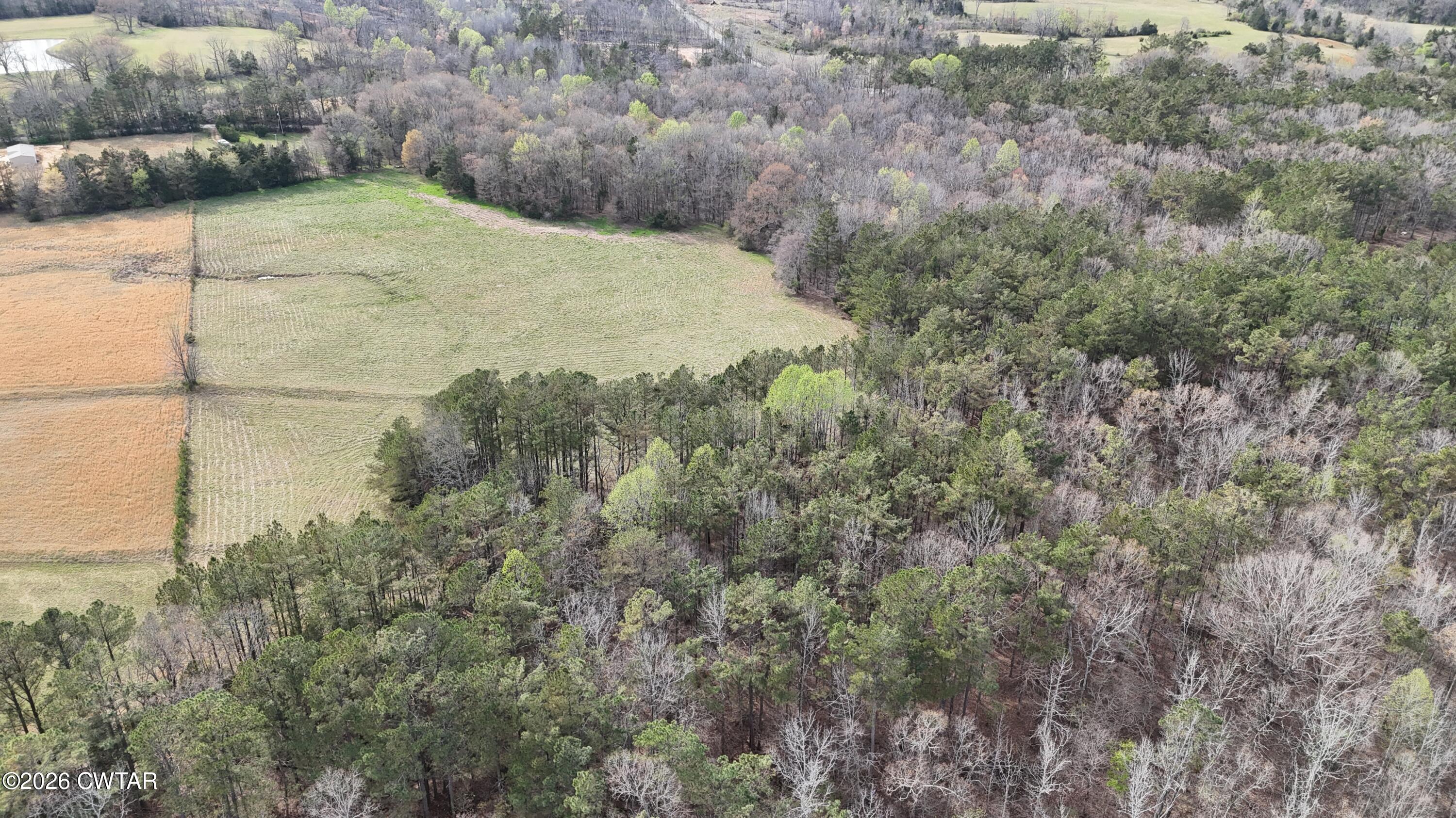 500 Hinkle Road Sardis, TN 38371 - Photo 7 of 11 a view of a backyard