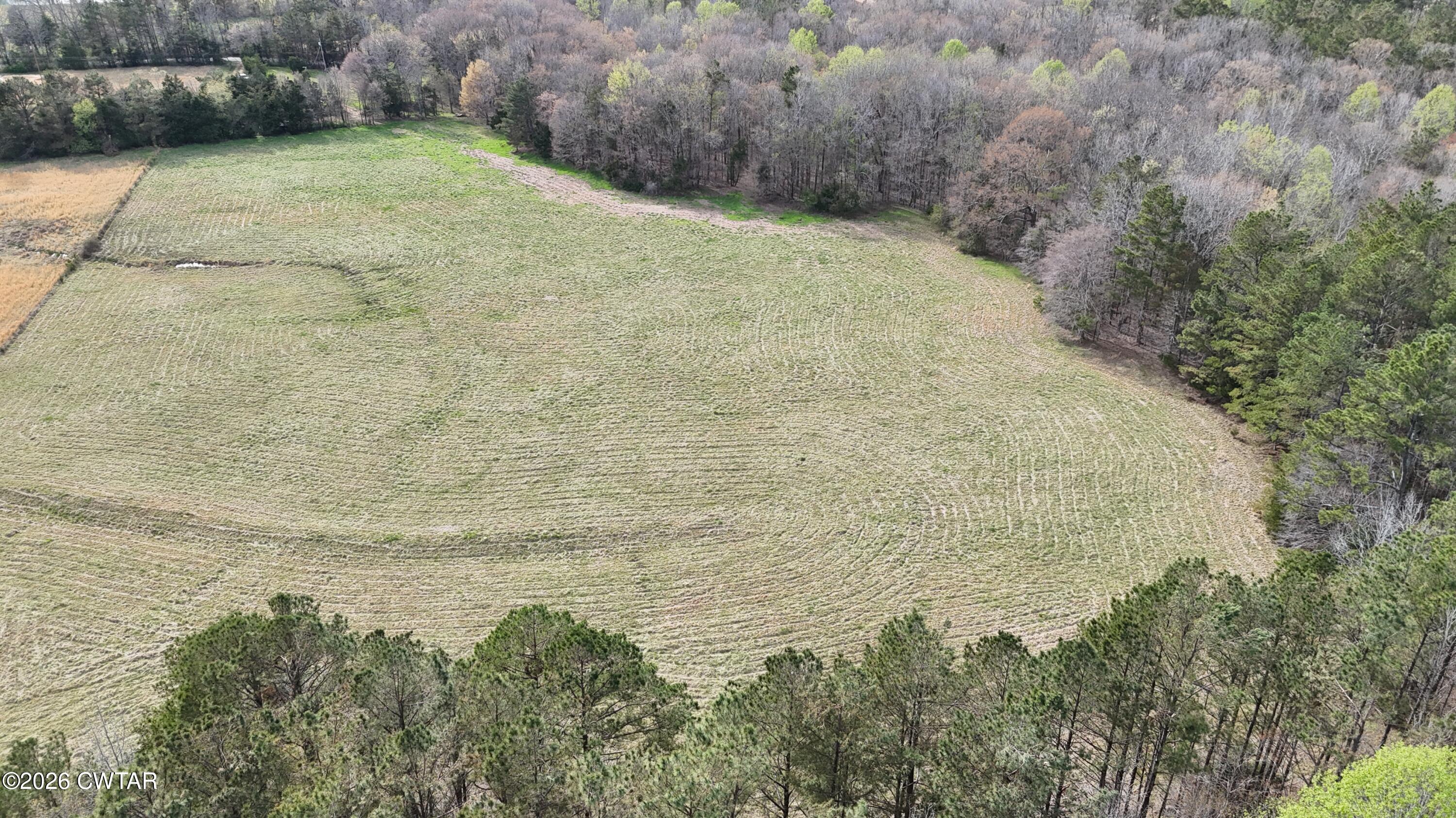 500 Hinkle Road Sardis, TN 38371 - Photo 8 of 11 a view of a pathway both side of yard