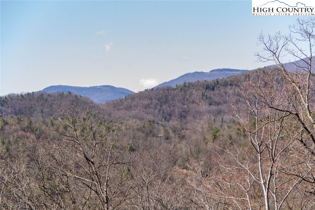 308 Warren Way Road Purlear, NC 28665 - Photo 2 of 49 a view of a dry field