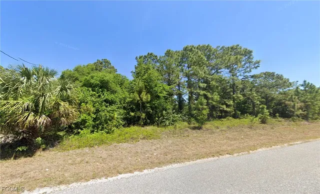 a view of a yard with plants and a bench