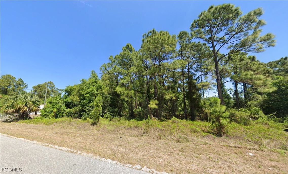613-615 Meadow Road Lehigh Acres, FL 33973 - Photo 2 of 7 a view of a yard with plants and trees