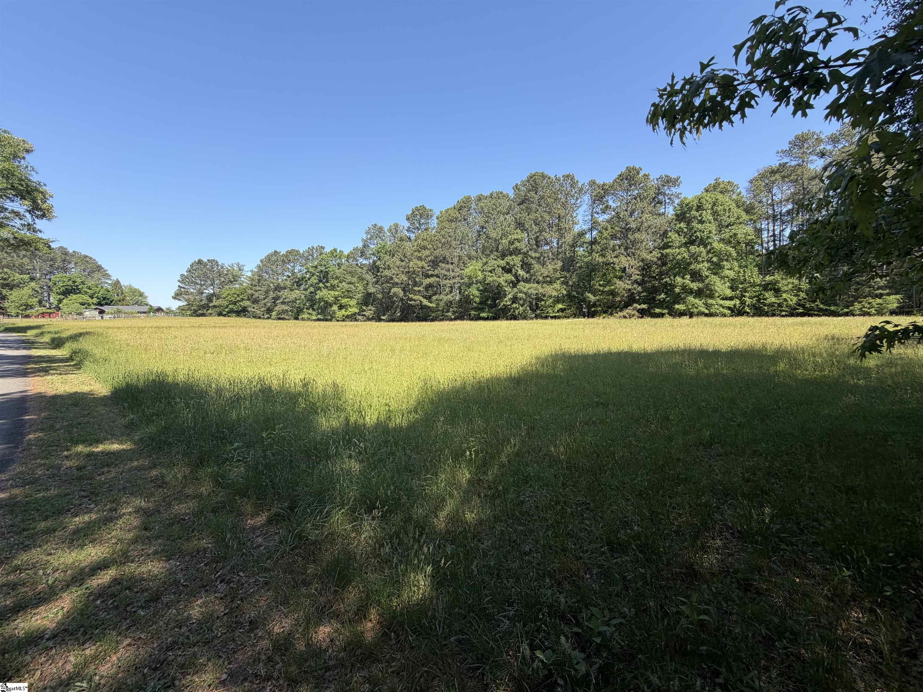 0 Franklin Road Laurens, SC 29360 - Photo 5 of 8