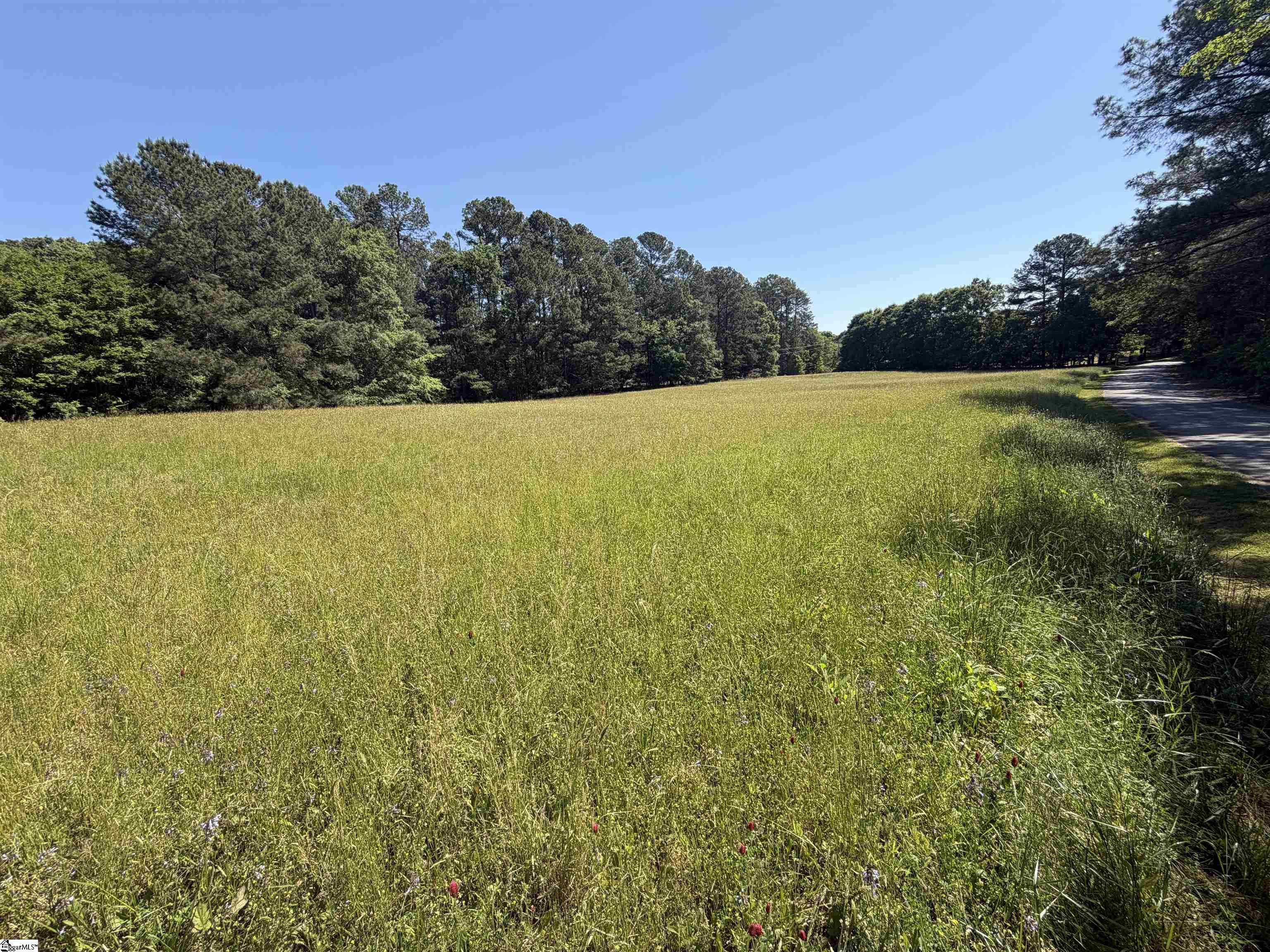 0 Franklin Road Laurens, SC 29360 - Photo 6 of 8