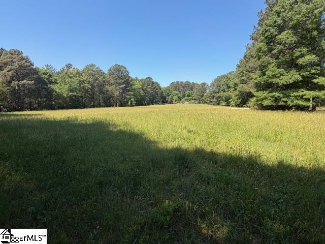 0 Franklin Road Laurens, SC 29360 - Photo 7 of 8