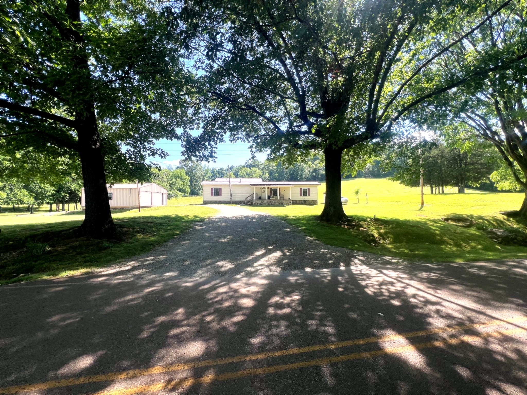 1133 Culps Bend Road Clifton, TN 38425 - Photo 1 of 51 a view of yard with tree