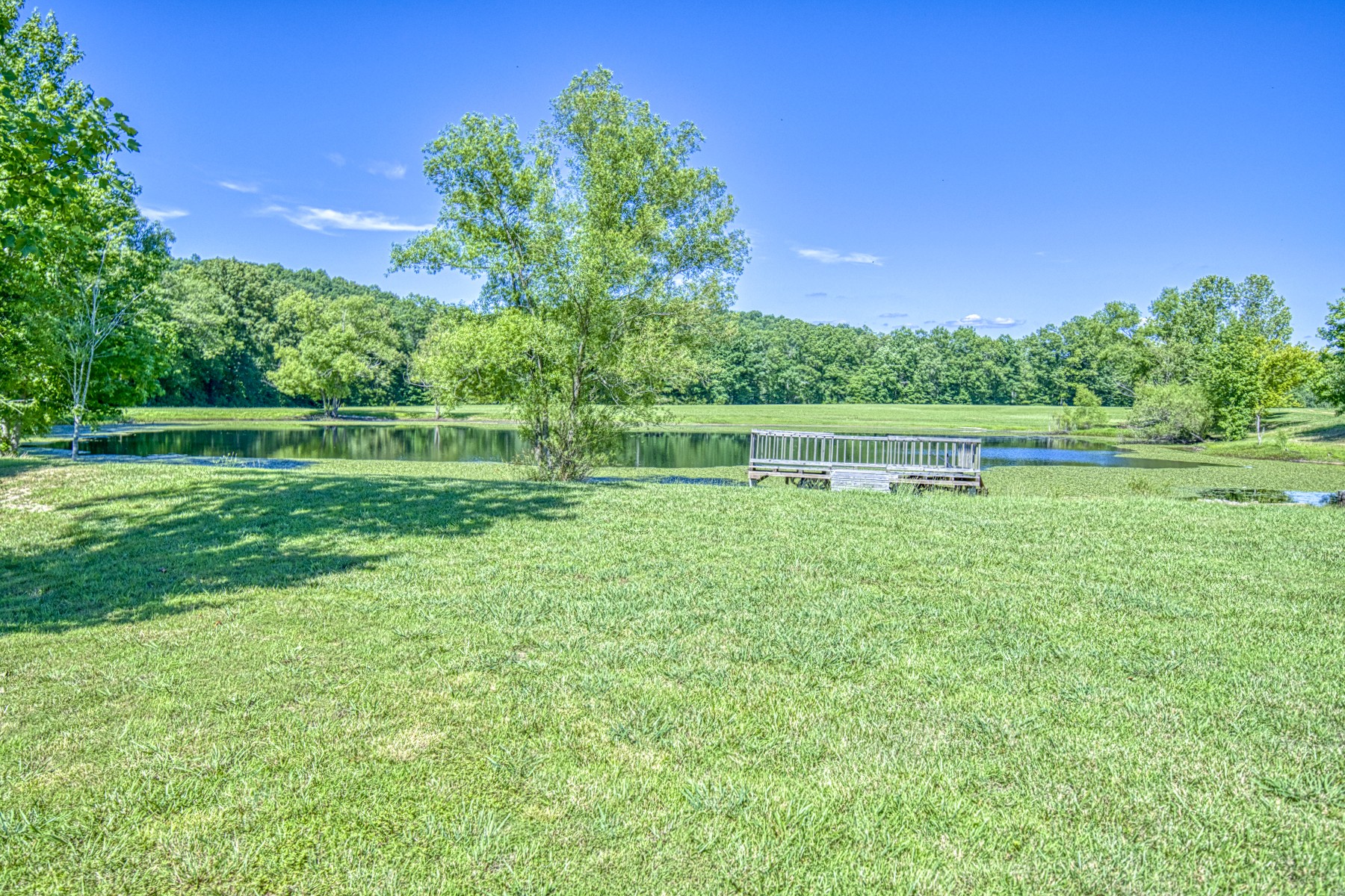 205 Bastin Road Hohenwald, TN 38462 - Photo 44 of 49 Gallery Image 44