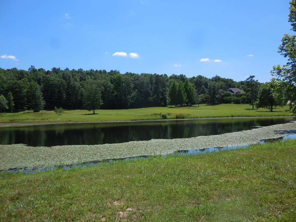 205 Bastin Road Hohenwald, TN 38462 - Photo 49 of 49 Gallery Image 49