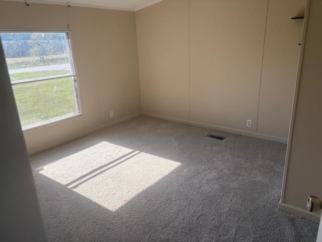 4503 Peter Creek Road Austin, KY 42123 - Photo 10 of 16 Gallery Image 10