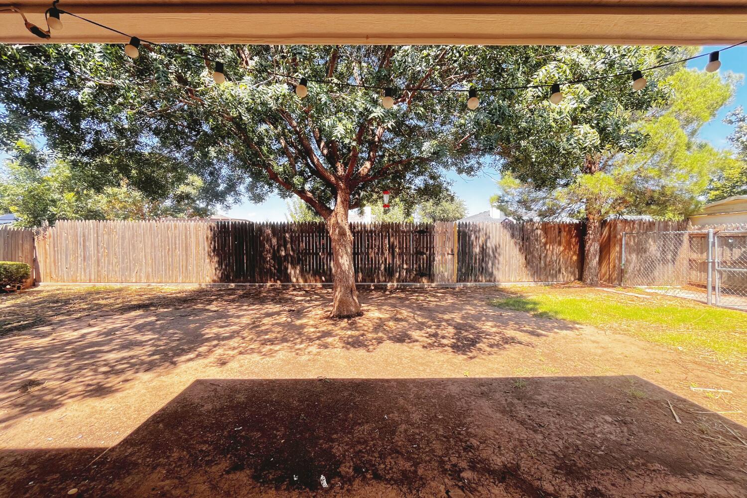 6114 10th Street Lubbock, TX 79416 - Photo 21 of 24 a view of a yard with a large tree