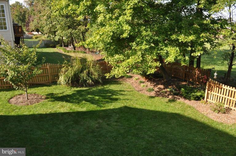 Back yard