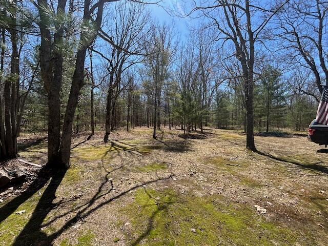 Vl East Roosevelt Road Montague, MI 49437 - Photo 11 of 30