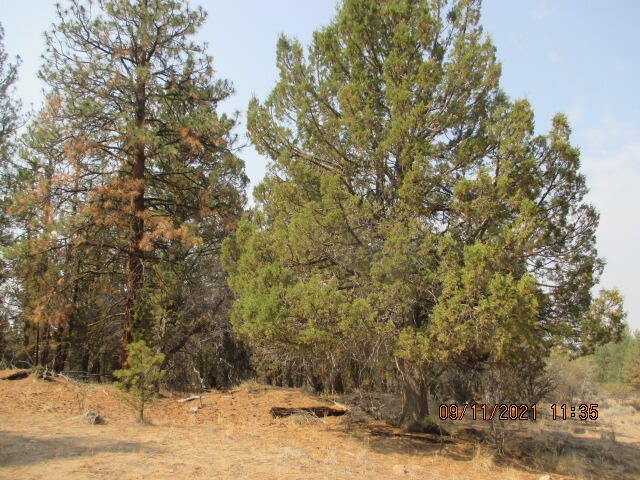 Lot 1 Rio Vista Drive Beatty, OR 97621 - Photo 3 of 4 IMG_7736