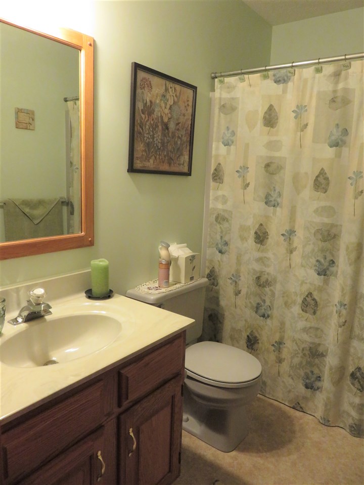 1623 Lansing Road Morrice, MI 48857 - Photo 14 of 29 Gallery Image 14
