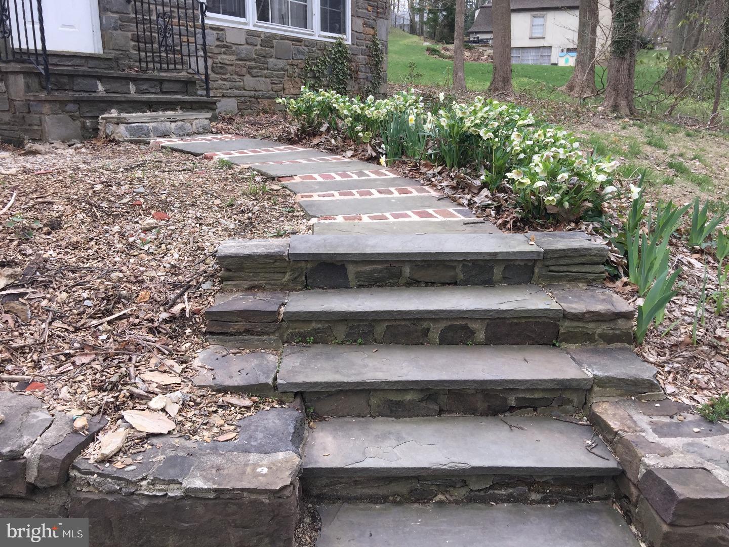 717 Old Eagle School Road Wayne, PA 19087 - Photo 2 of 14