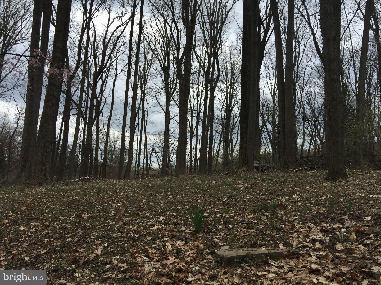 717 Old Eagle School Road Wayne, PA 19087 - Photo 14 of 14