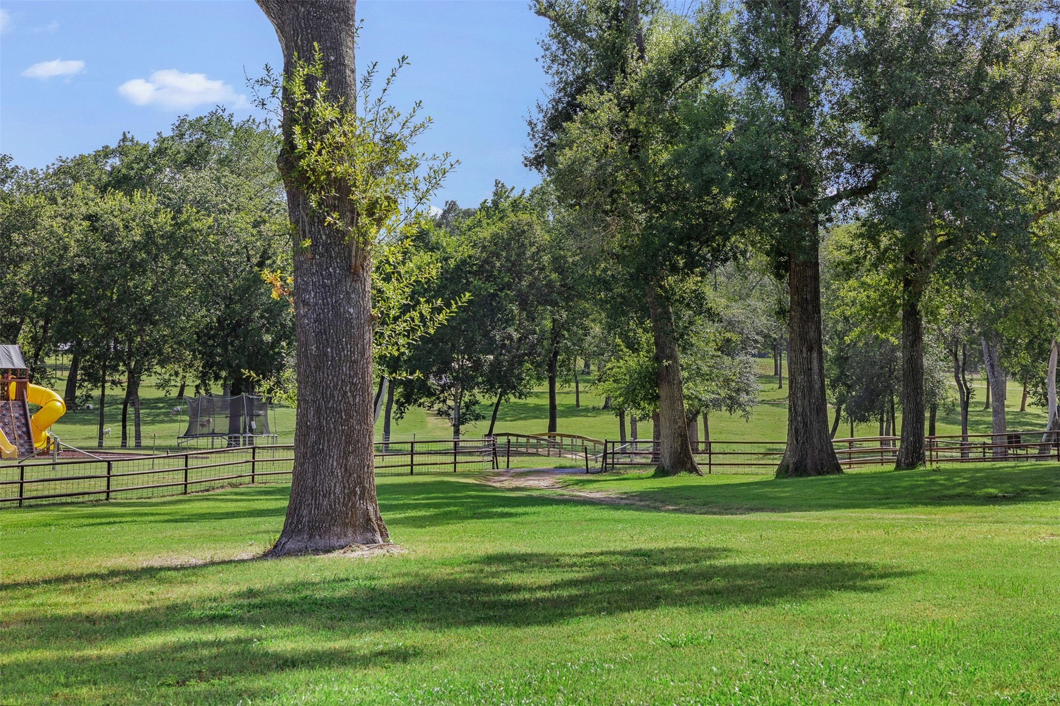 7521 Schoenau Road Brenham, TX 77833 - Photo 34 of 49