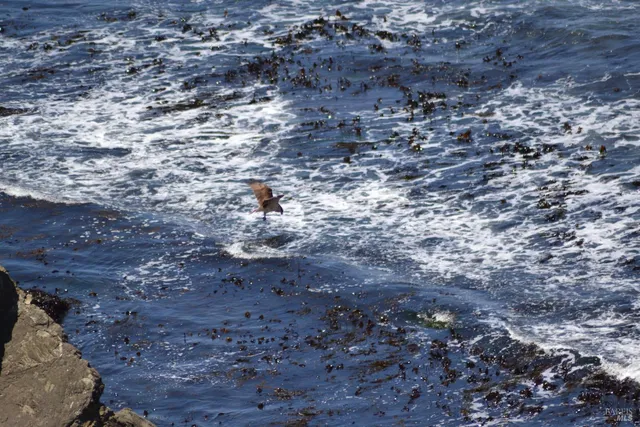 $1,450,000 | 33500 Highway 1, Gualala, CA 95445