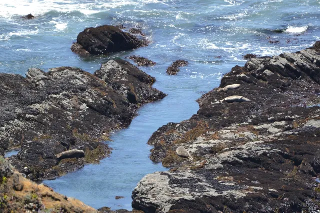 $1,450,000 | 33500 Highway 1, Gualala, CA 95445