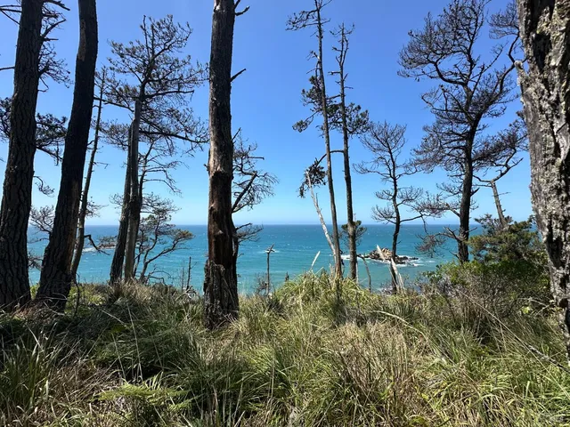 $1,450,000 | 33500 Highway 1, Gualala, CA 95445