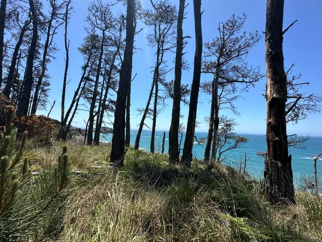 $1,450,000 | 33500 Highway 1, Gualala, CA 95445