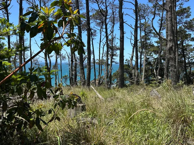 $1,450,000 | 33500 Highway 1, Gualala, CA 95445