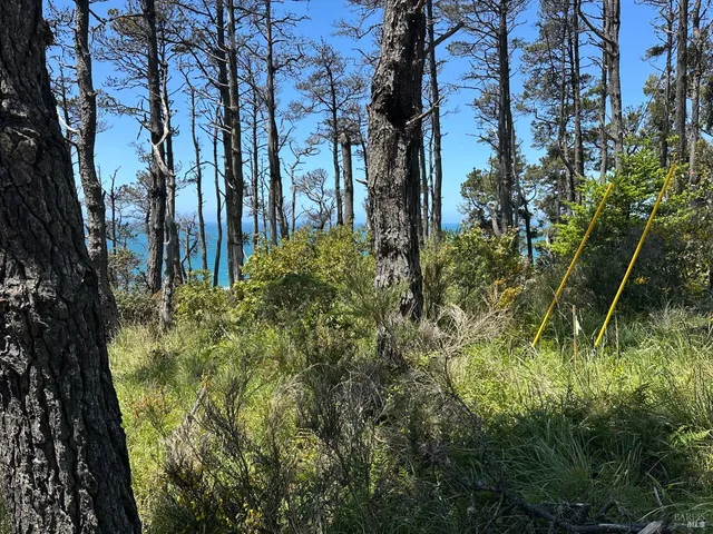 $1,450,000 | 33500 Highway 1, Gualala, CA 95445