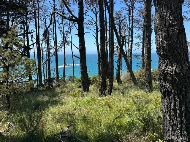 $1,450,000 | 33500 Highway 1, Gualala, CA 95445