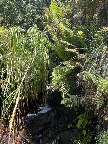 $1,450,000 | 33500 Highway 1, Gualala, CA 95445