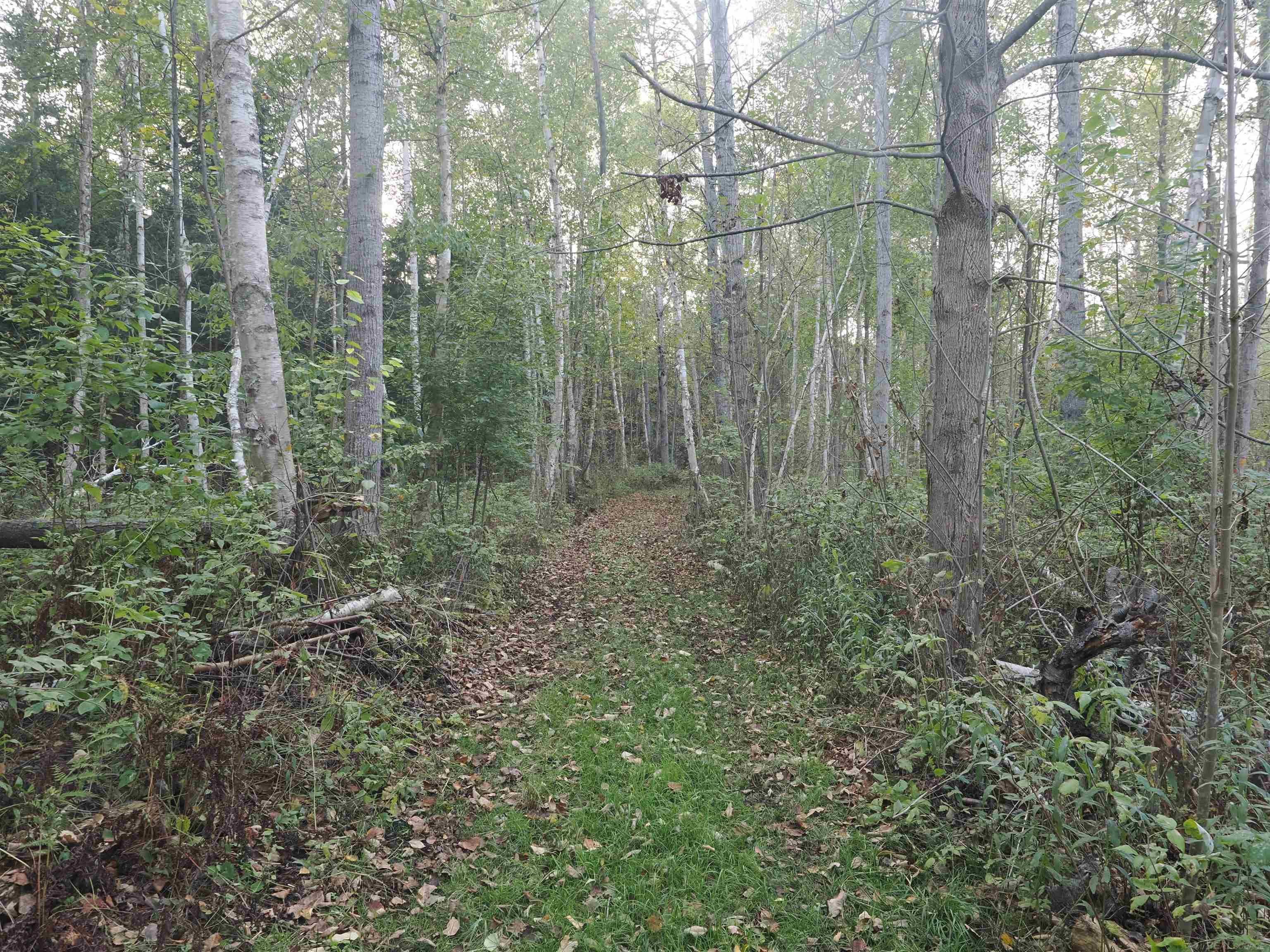 Xxx Tolan Road Spruce, MI 48762 - Photo 42 of 79