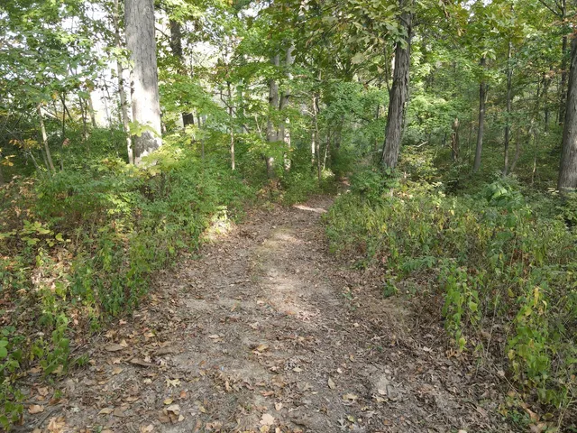 $454,125 | 5180 West Cantrell Street, Decatur, IL 62522