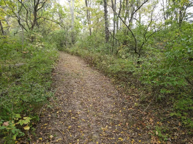 $454,125 | 5180 West Cantrell Street, Decatur, IL 62522