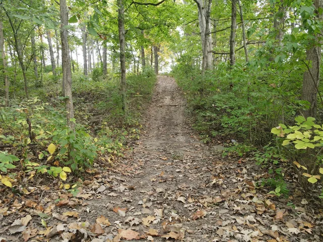 $454,125 | 5180 West Cantrell Street, Decatur, IL 62522